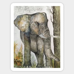 Elephant Sticker